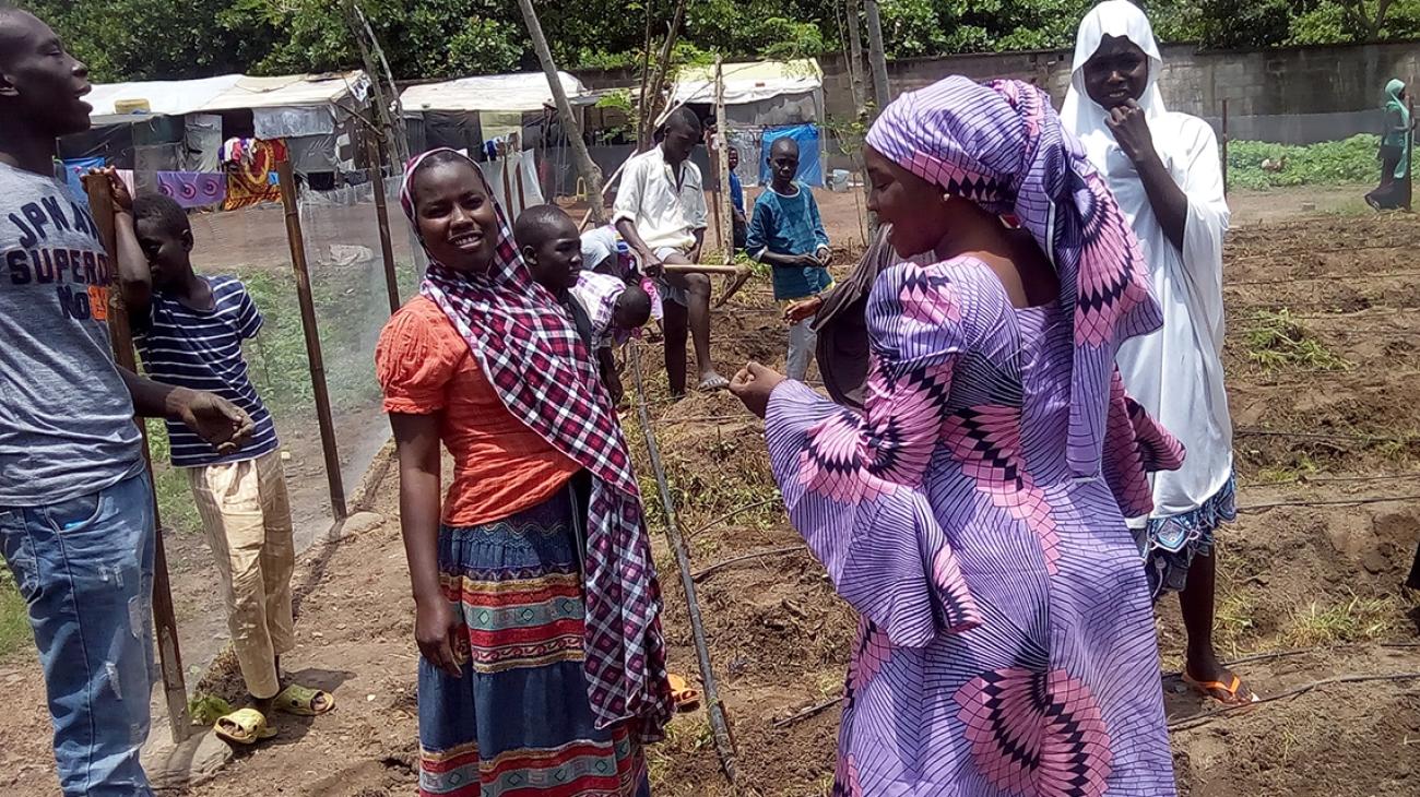 Growing Food In The Face Of Hardship In Nigeria Nuclear Techniques 