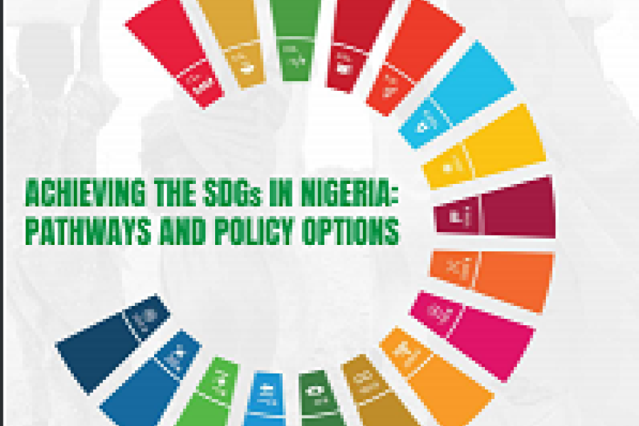 Achieving The SDGs In Nigeria: Pathways And Policy Options | United ...