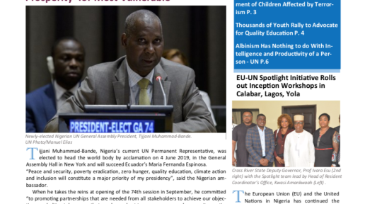 UN Nigeria Newsletter - June 2019
