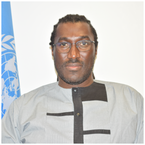 FAO Representative (a.i) in Nigeria and ECOWAS