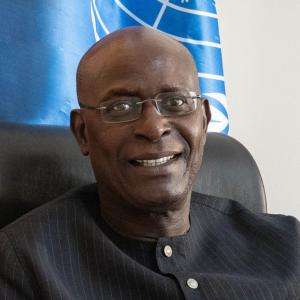UN Resident and Humanitarian Coordinator in Nigeria, Mohamed Malick Fall